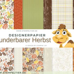Designerpapier OE 2025 stampin up wunderbarer herbst