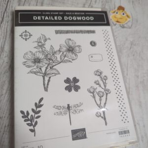 Detailed Dogwood