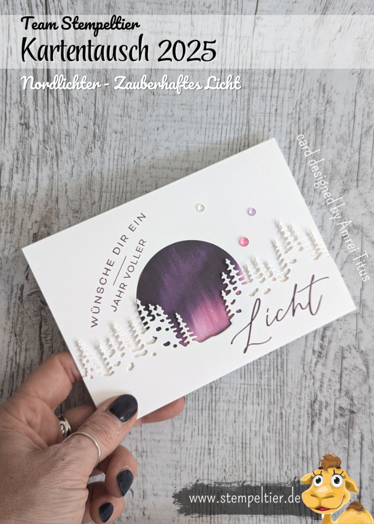 Stampin up Kartenswap team stempeltier winter 2025 nordlichter zauberhaftes licht