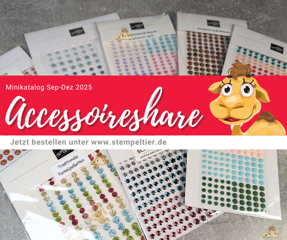 accessoires share winter minikatalog 2025