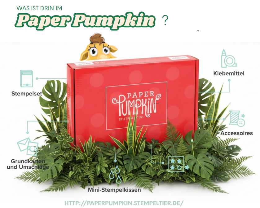 stampinup paper pumpkin abo info bestellen stempeltier danny