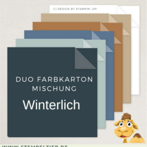 Farbkarton Duo Winterlich