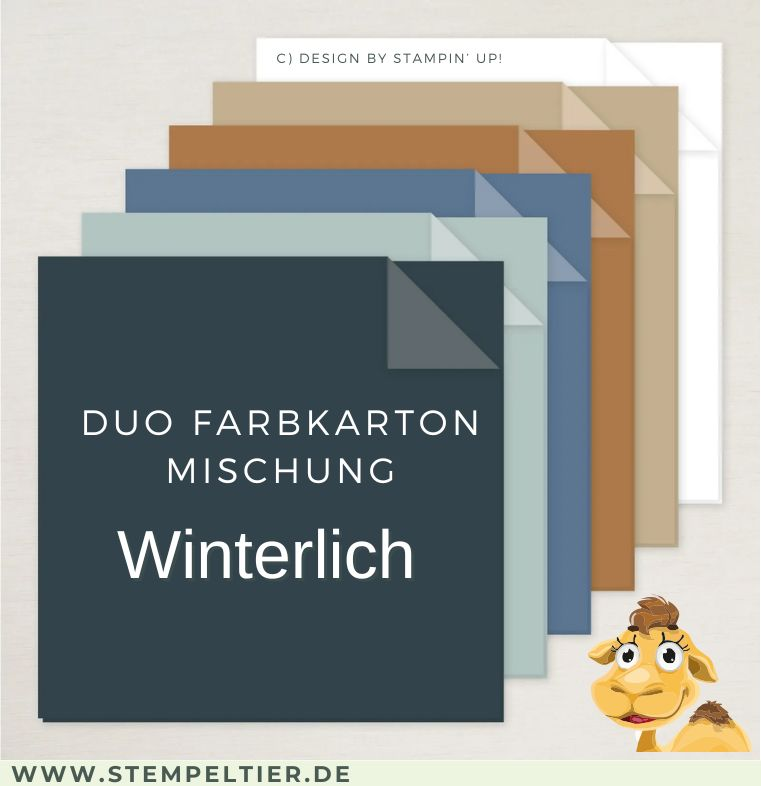 Farbkarton Duo Winterlich