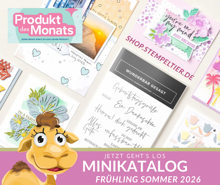 stampin up minikatalog 2026 januar produkt des monats bestellen danny stempeltier