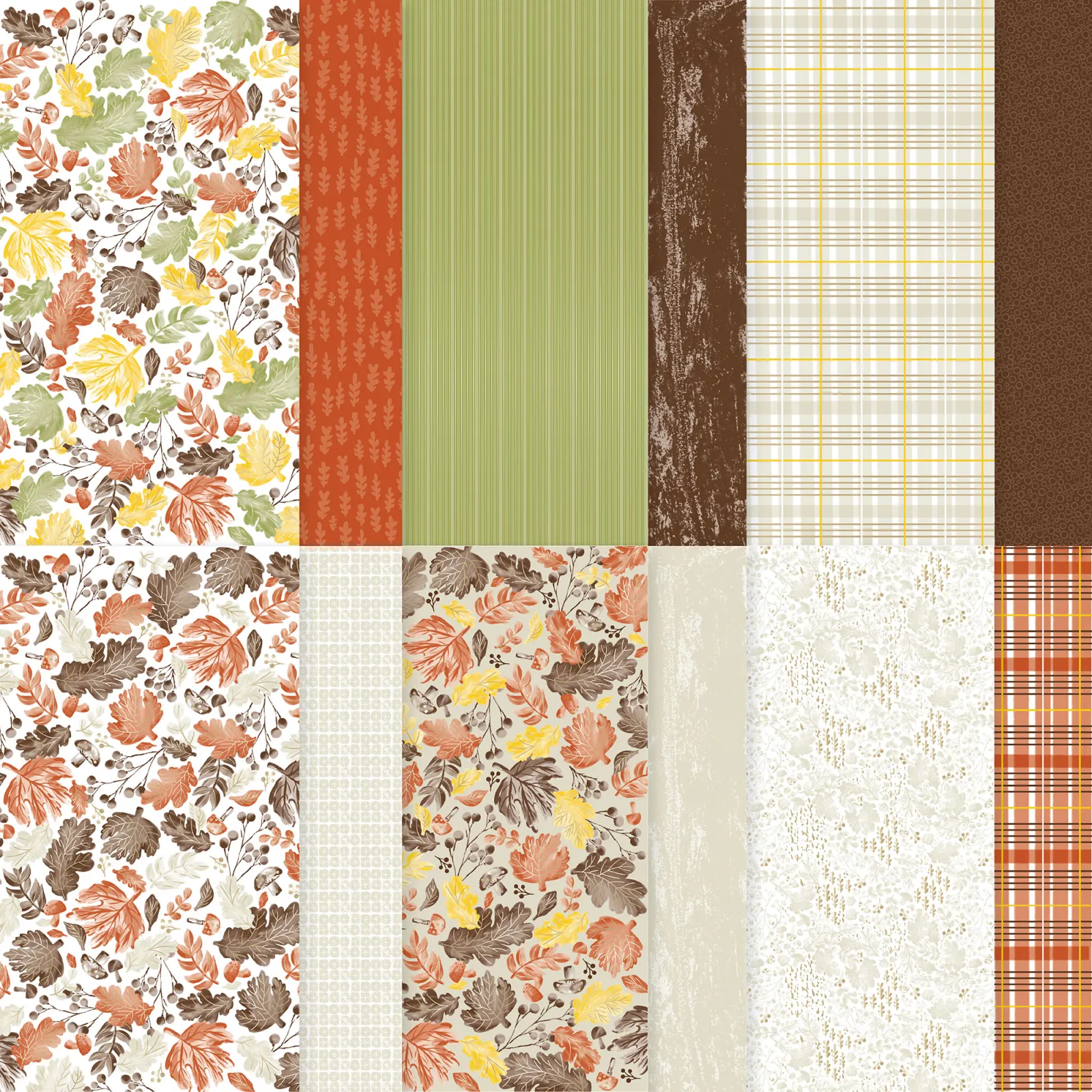 wunderbarer Herbst – Bild 3