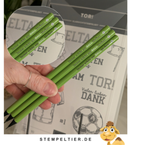 am ball bleiben fussball stempeltier stifte stampin up Tor