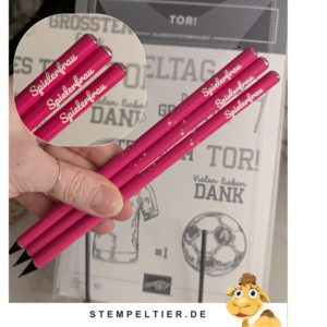 spielerfrau fussball stempeltier stifte stampin up Tor