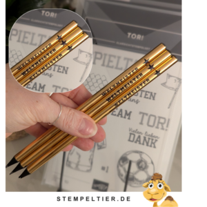 Weltmeister fussball stempeltier stifte stampin up Tor