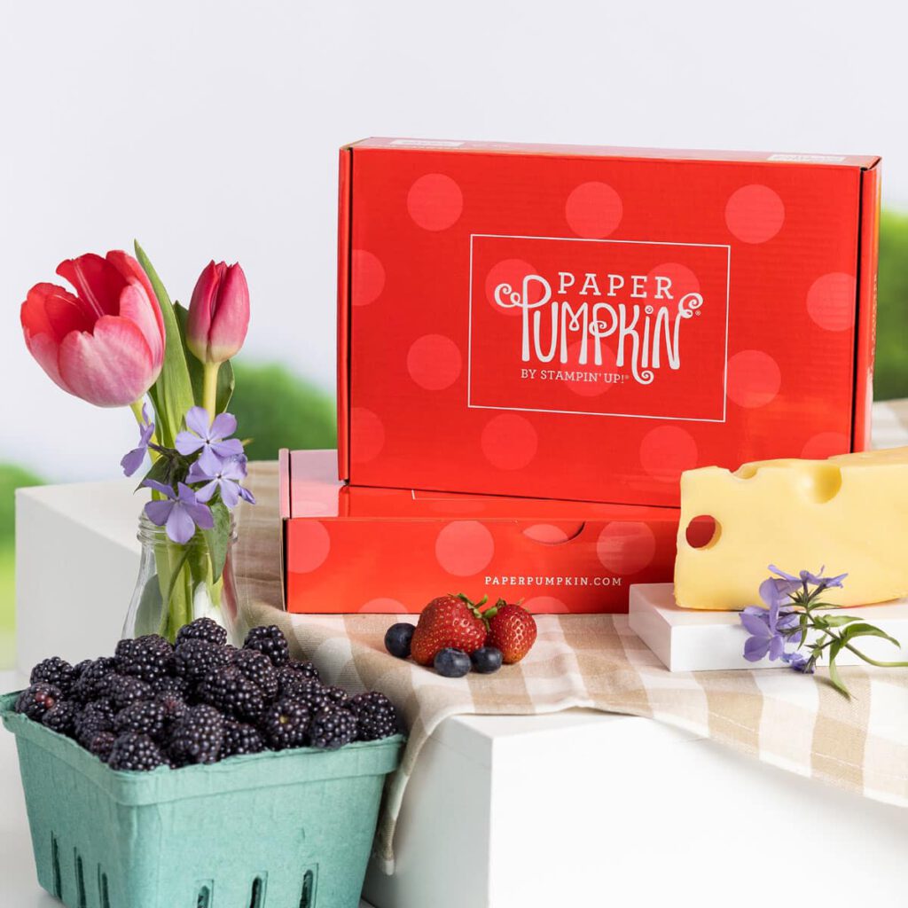 stampin up paper pumpkin abo deutschland danny stempeltier