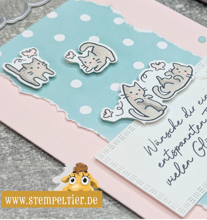 stampin up cutest crew katze cats