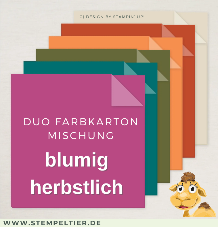 duo farbkartonmischung floral blumig 2026 stampin up liebevolle Botschaften