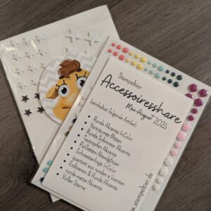 Accessoires Share 2026