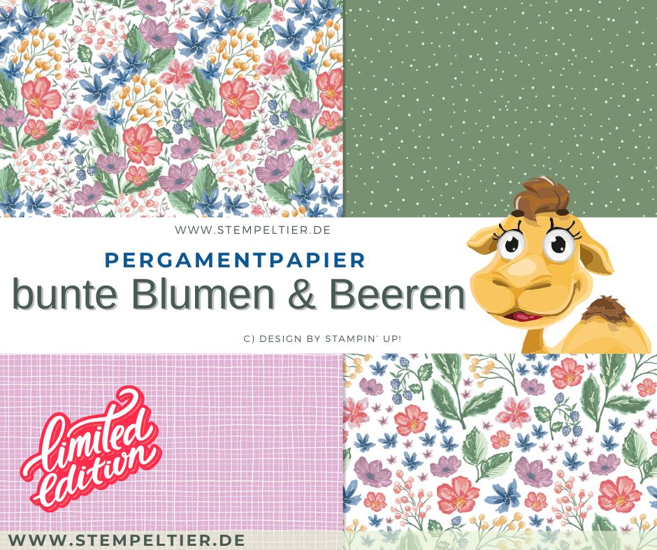 stampinup Designerpapier 2026 pergamentpapier bunte blumen und beeren PDM produkt des monats mai