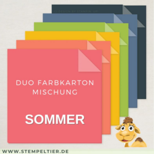 duo farbkartonmischung sommer glücksmomente 2026 stampin up hausgemachtes glück