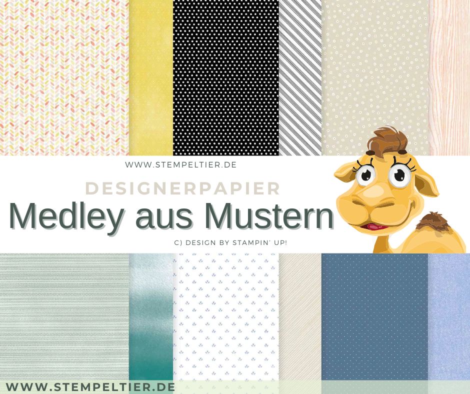Designerpapier mini 2026 stampin up medley aus mustern