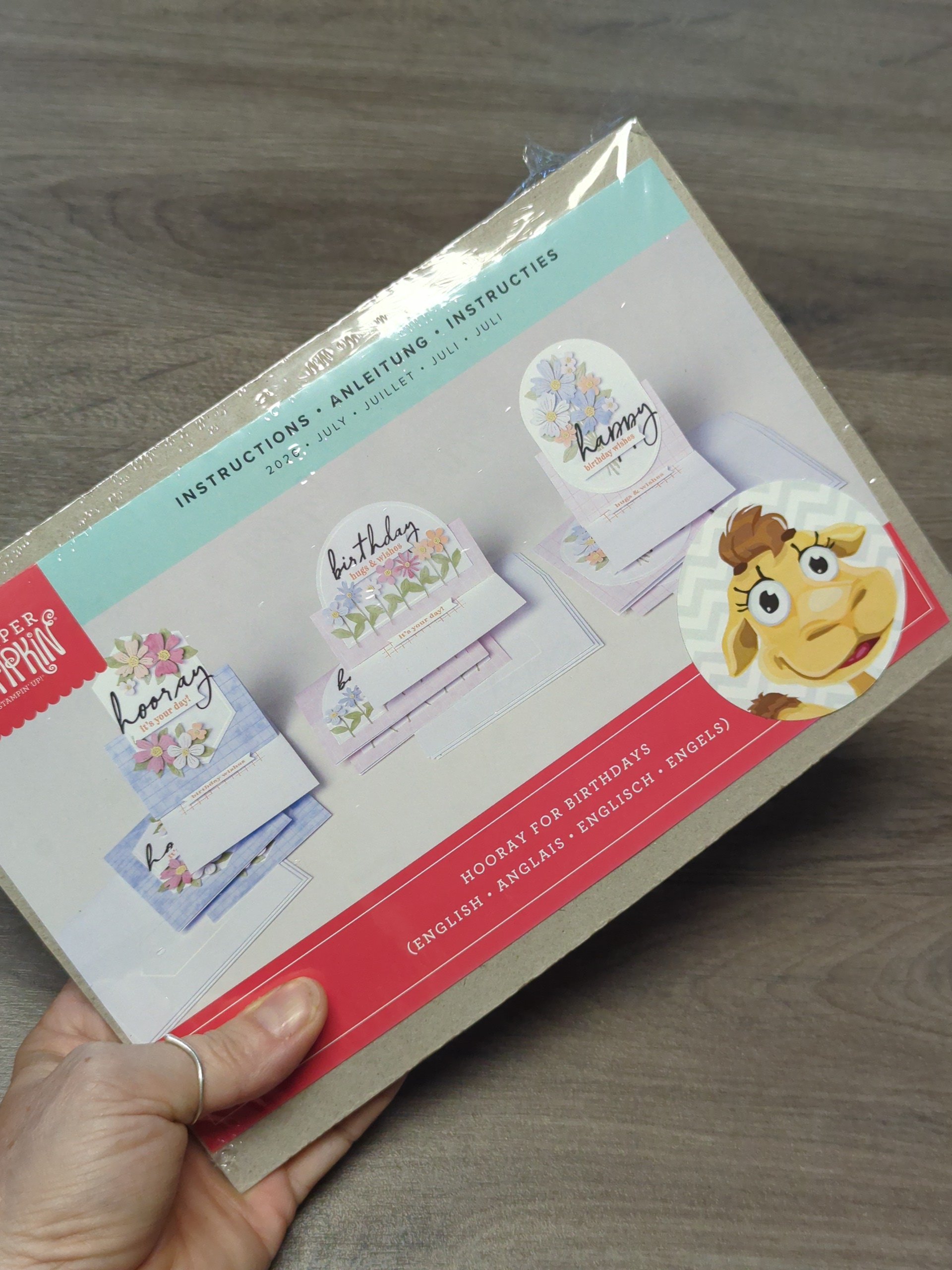 paper pumpkin Juli Refill – Bild 4