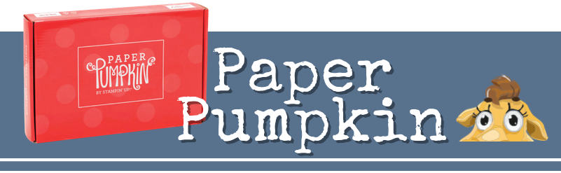 paper pumpkin abo bestellen kreativbox stempeltier