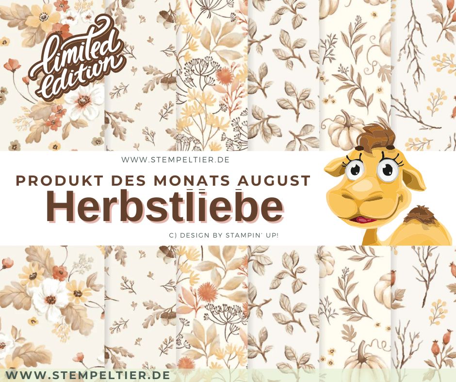 Designerpapier 2026 stampin up Herbstliebe PDM produkt des monats august
