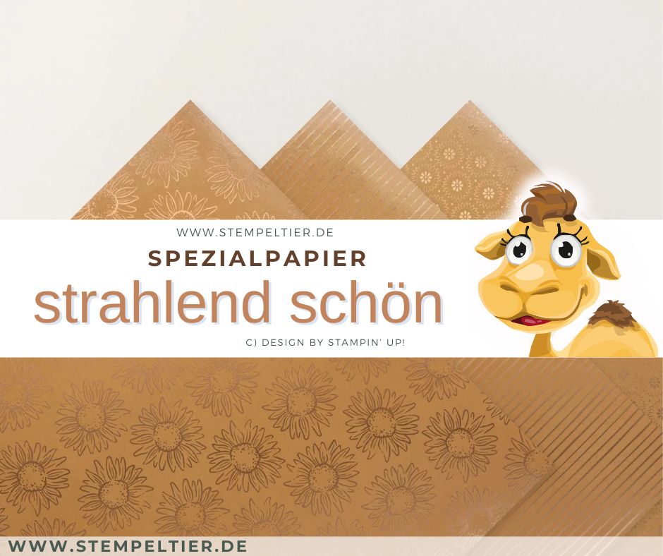 Designerpapier strahlend schön herbst winter 2026 stampin up