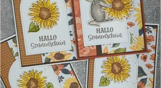 Sonnenblumen Felder zum Herbst